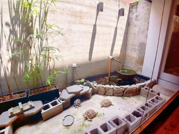 69504639_492738478190629_6237723330607054848_n