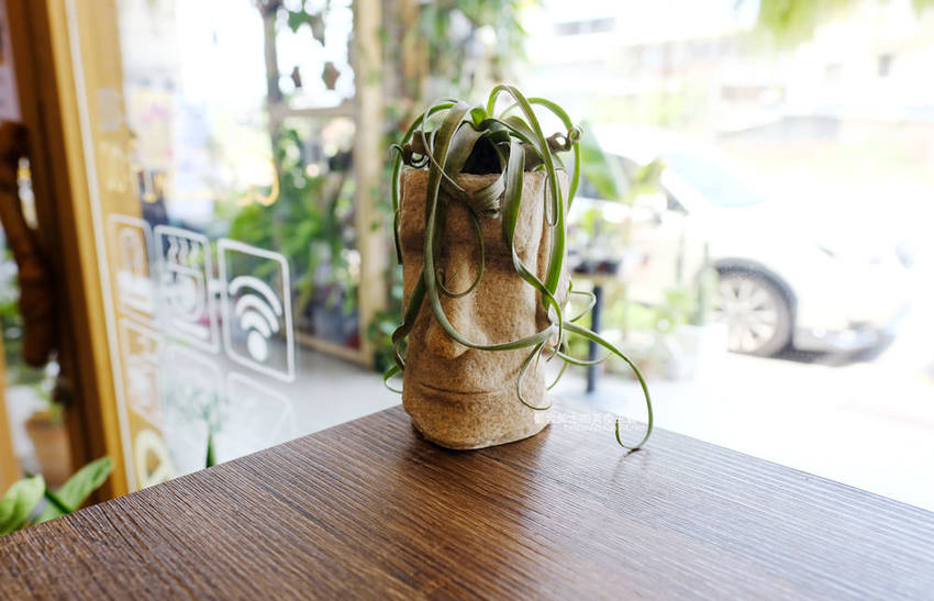 苗栗美食│植感咖啡-走進植栽系咖啡館，綠意空間裡享用下午茶 - 藍色起士的美食主義