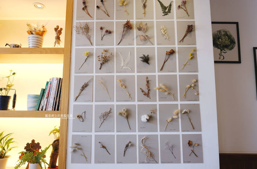 苗栗美食│植感咖啡-走進植栽系咖啡館，綠意空間裡享用下午茶 - 藍色起士的美食主義