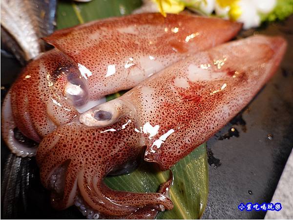 冰鮮小卷-火之舞和牛燒烤吃到飽桃園店 (1).jpg