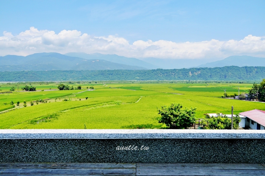 【花蓮】部落皇后藝術咖啡 看稻浪賞畫作喝咖啡 當代藝術家優席夫咖啡聽 - 水晶安蹄 不務正業過生活