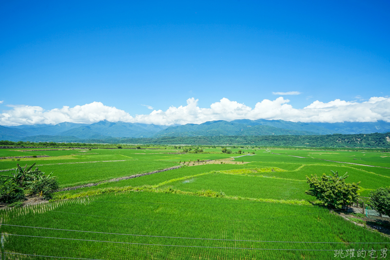 [花蓮玉里咖啡廳]部落皇后藝術咖啡廳-花蓮193線上最美咖啡廳 優席夫老家化身咖啡藝術空間  俯瞰花東縱谷稻浪  美”稻”讓人說不出話