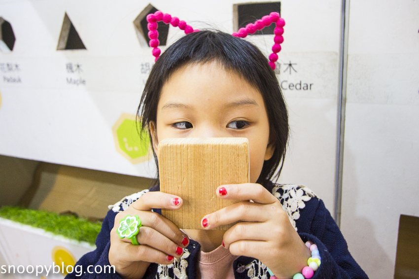 【台中親子景點】后里景點｜木匠兄妹木工房～木工手作體驗，木製玩具、遮陽沙坑、美拍打卡裝置，台中親子一日遊