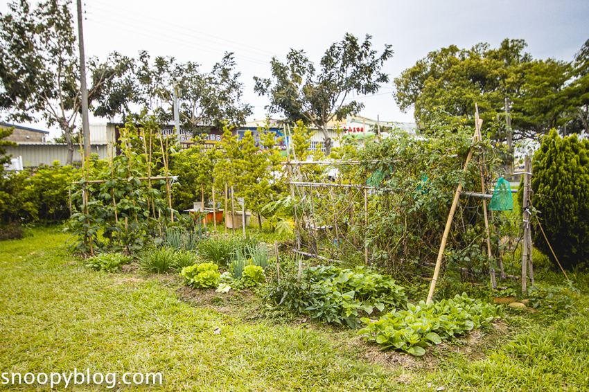 【台中親子景點】后里景點｜木匠兄妹木工房～木工手作體驗，木製玩具、遮陽沙坑、美拍打卡裝置，台中親子一日遊