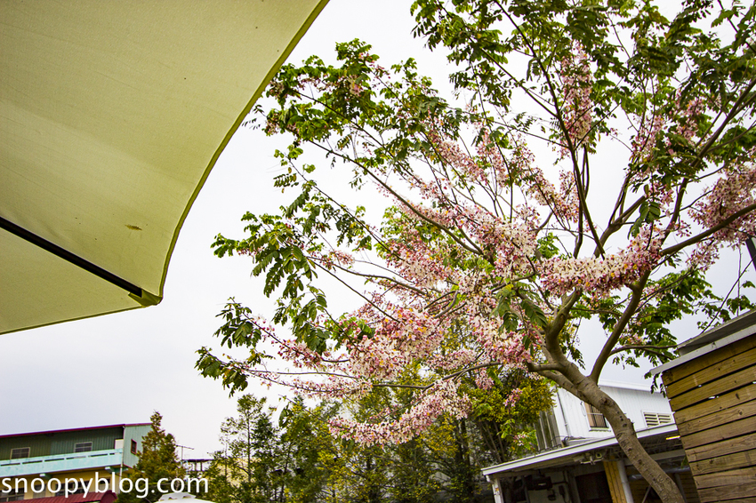 【台中親子景點】后里景點｜木匠兄妹木工房～木工手作體驗，木製玩具、遮陽沙坑、美拍打卡裝置，台中親子一日遊