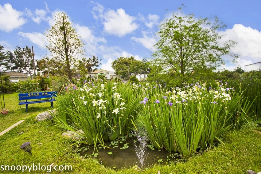 【台中親子景點】后里景點｜木匠兄妹木工房～木工手作體驗，木製玩具、遮陽沙坑、美拍打卡裝置，台中親子一日遊