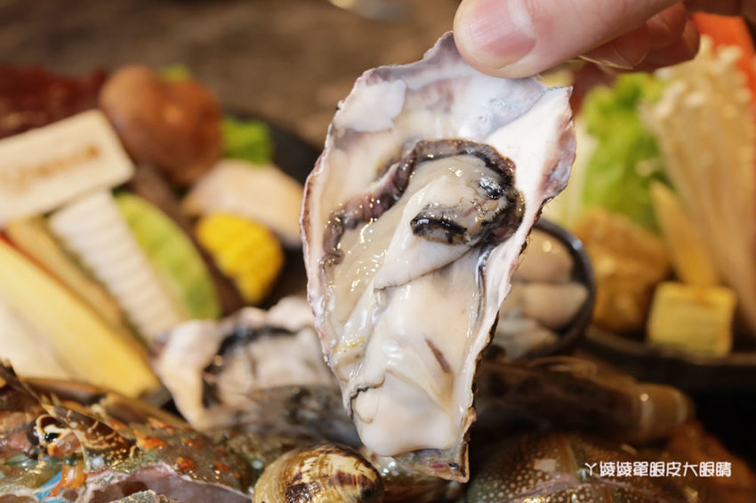 新竹火鍋嗑肉石鍋新竹經國店｜一元加購小痛風海鮮拼盤！龍霸王雙人餐一次吃到四種肉品！