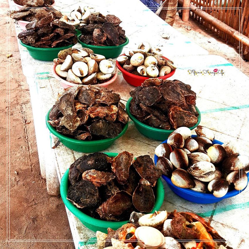 宿霧跳島行程一日遊 娜魯蘇安島%26;資生堂島