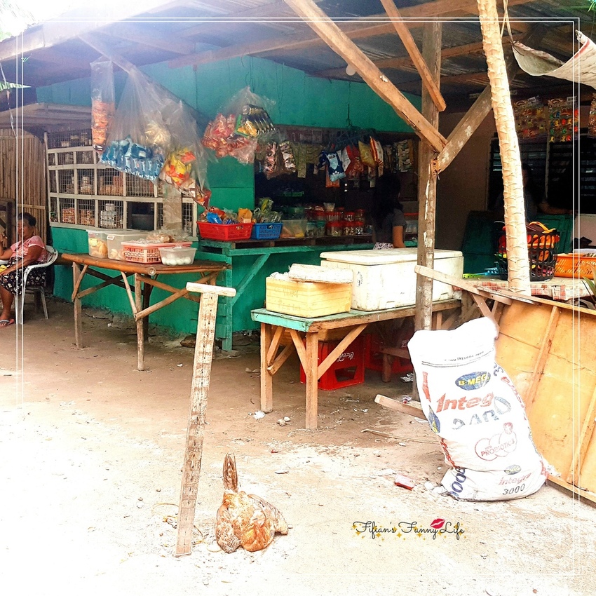 宿霧跳島行程一日遊 娜魯蘇安島%26;資生堂島