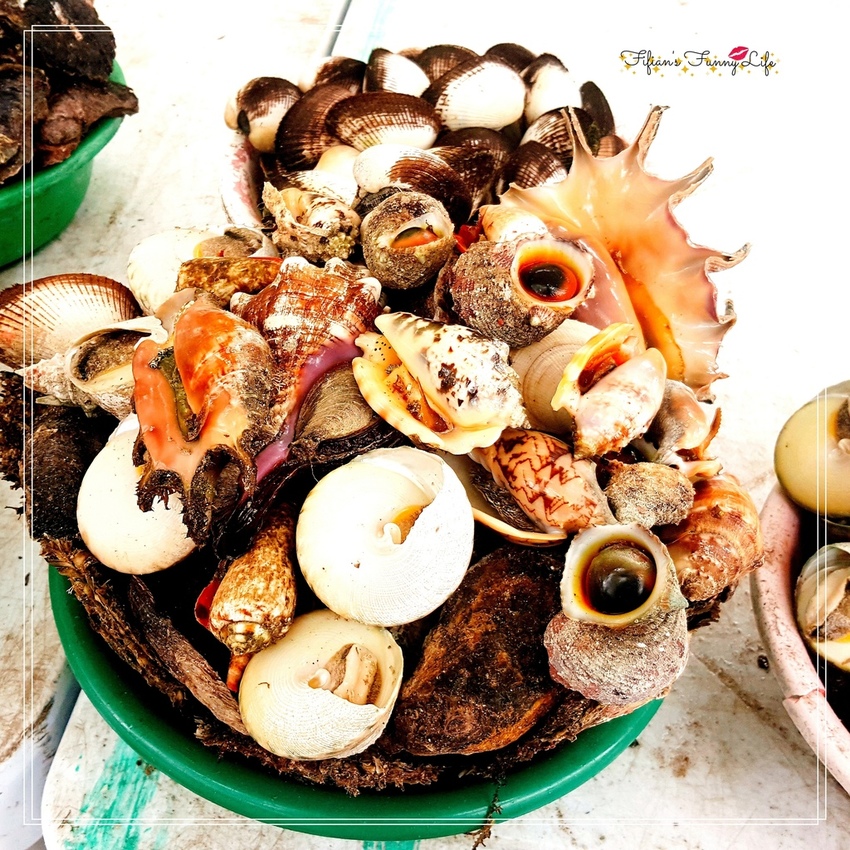 宿霧跳島行程一日遊 娜魯蘇安島%26;資生堂島