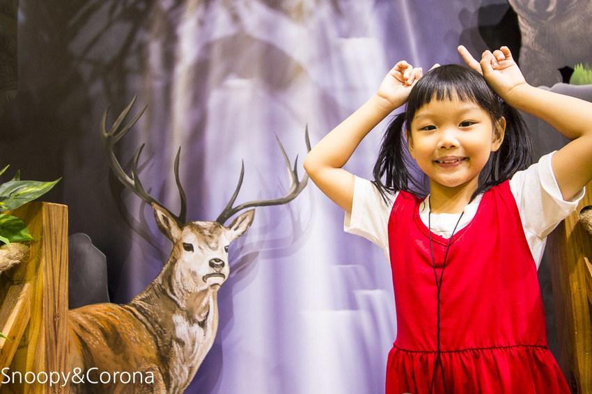 【台北活動】信義區最新美拍打卡景點｜BELLAVITA寶麗廣場10周年慶｜熱帶叢林小市集～小島溜滑梯 x 無人島球池 x 巨嘴鳥盪鞦韆，網美和親子一起來探險