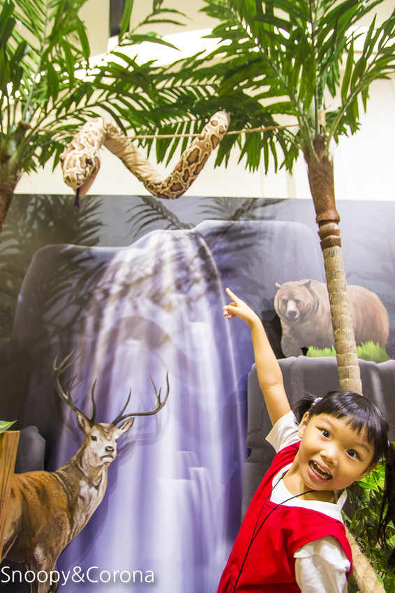 【台北活動】信義區最新美拍打卡景點｜BELLAVITA寶麗廣場10周年慶｜熱帶叢林小市集～小島溜滑梯 x 無人島球池 x 巨嘴鳥盪鞦韆，網美和親子一起來探險