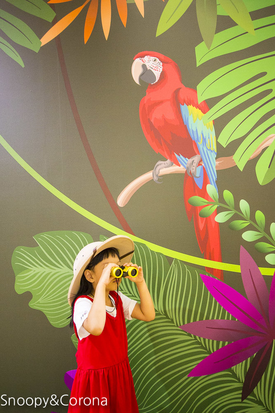 【台北活動】信義區最新美拍打卡景點｜BELLAVITA寶麗廣場10周年慶｜熱帶叢林小市集～小島溜滑梯 x 無人島球池 x 巨嘴鳥盪鞦韆，網美和親子一起來探險