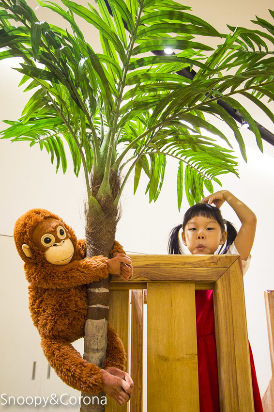 【台北活動】信義區最新美拍打卡景點｜BELLAVITA寶麗廣場10周年慶｜熱帶叢林小市集～小島溜滑梯 x 無人島球池 x 巨嘴鳥盪鞦韆，網美和親子一起來探險