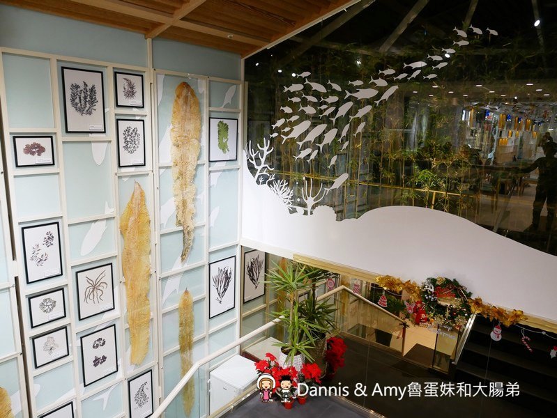 《台北松山美食》 Hi-Q褐藻生活館Hi-Q鱻食-全台第一家海藻創意美食主題餐廳。免費褐藻咖啡、褐藻紅茶、褐藻起士風味餅乾 ︱大人小孩吃一次就愛上(影片) 《台北松山美食》 Hi-Q褐藻生活館Hi-Q鱻食-全台第一家海藻創意美食主題餐廳。免費褐藻咖啡、褐藻紅茶、褐藻起士風味餅乾 ︱大人小孩吃一次就愛上(影片)