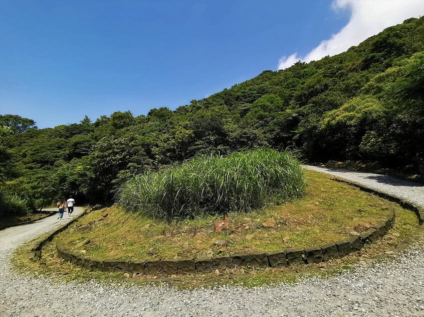 【新北市瑞芳景點】金瓜石地質公園~本山礦場外星石頭陣美拍，詭譎氣氛彷彿來到異次元空間 - 旅遊夜市趴趴走