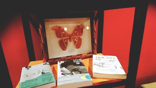 68678234_2576614749036865_6565687325387390976_n 68678234_2576614749036865_6565687325387390976_n