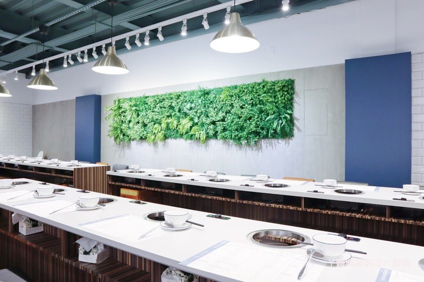 新竹火鍋推薦同樂食鍋|誤以為下午茶咖啡廳的火鍋店,連鳥籠都擺上桌!痛風海鮮甜甜價