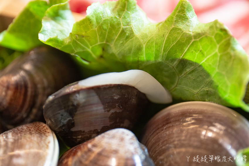 一整斤蛤蜊只要加價99元！新竹火鍋店加碼超狂壽星優惠，生日月份跟日期相加多少就換幾片肉肉