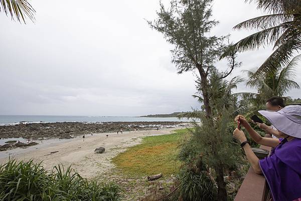 台東可可娜咖啡 - 7