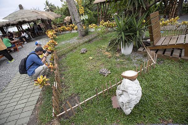 台東可可娜咖啡 - 17