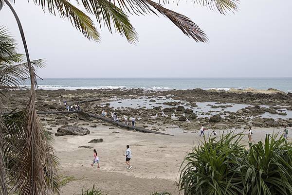 台東可可娜咖啡 - 8