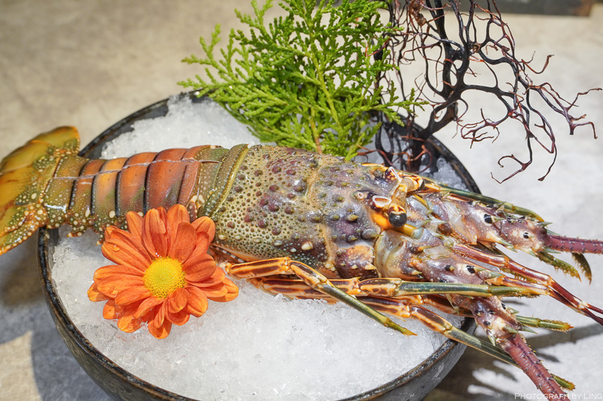 DSC01437.jpg DSC01437.jpg