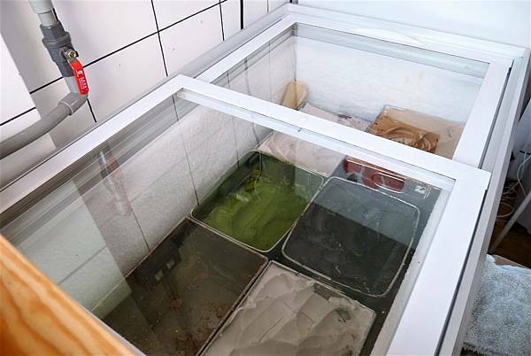 P1930593.JPG P1930593.JPG