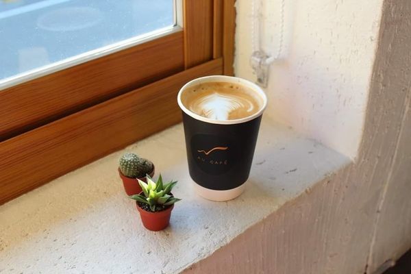 70582420_463628437827692_4584272844199821312_n