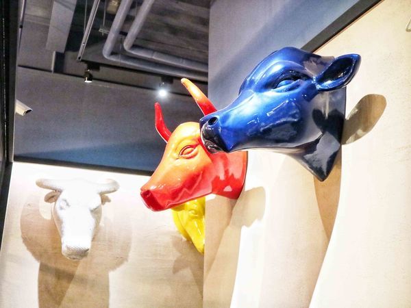 IMG_3498.jpg IMG_3498.jpg