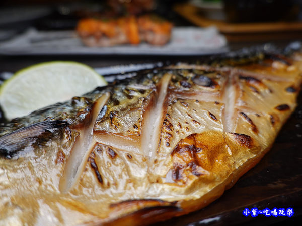 炙燒鯖魚-大河屋居酒屋 (4).jpg
