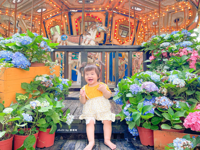 【台中 新社】薰衣草森林，繡球花季開跑，4月中旬到6月底，繡球花搭配旋轉木馬，浪漫至極，晚上還有觀賞螢火蟲行程，一路從早玩到晚！！