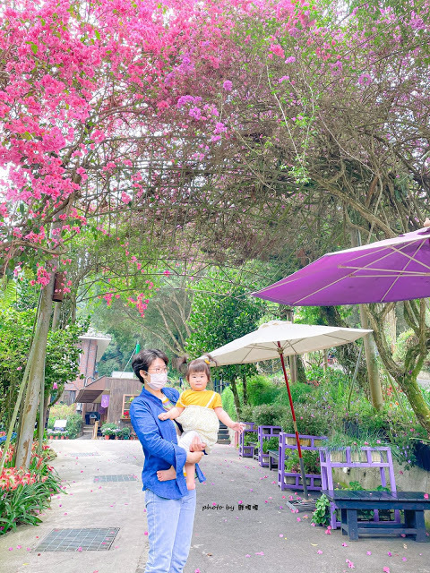 【台中 新社】薰衣草森林，繡球花季開跑，4月中旬到6月底，繡球花搭配旋轉木馬，浪漫至極，晚上還有觀賞螢火蟲行程，一路從早玩到晚！！