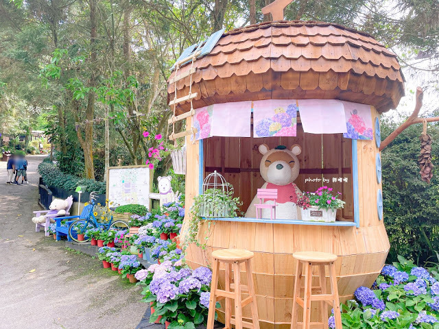 【台中 新社】薰衣草森林，繡球花季開跑，4月中旬到6月底，繡球花搭配旋轉木馬，浪漫至極，晚上還有觀賞螢火蟲行程，一路從早玩到晚！！