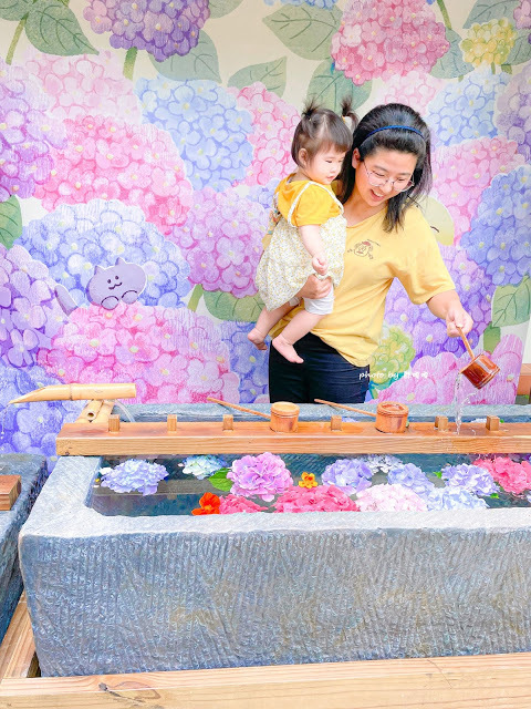 【台中 新社】薰衣草森林，繡球花季開跑，4月中旬到6月底，繡球花搭配旋轉木馬，浪漫至極，晚上還有觀賞螢火蟲行程，一路從早玩到晚！！