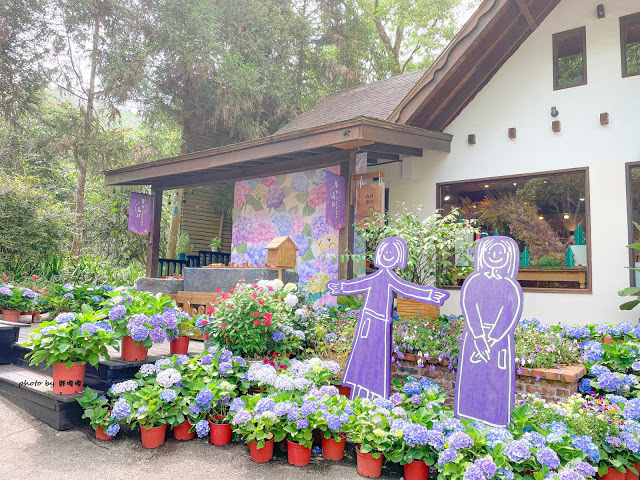 【台中 新社】薰衣草森林，繡球花季開跑，4月中旬到6月底，繡球花搭配旋轉木馬，浪漫至極，晚上還有觀賞螢火蟲行程，一路從早玩到晚！！