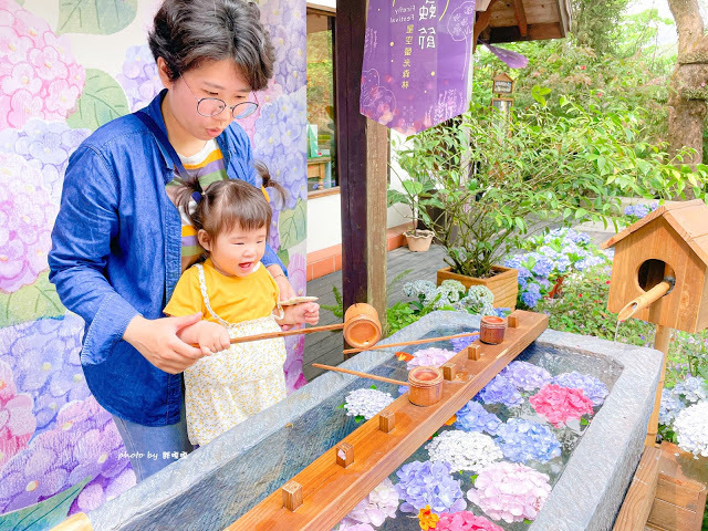 【台中 新社】薰衣草森林，繡球花季開跑，4月中旬到6月底，繡球花搭配旋轉木馬，浪漫至極，晚上還有觀賞螢火蟲行程，一路從早玩到晚！！