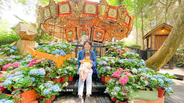 【台中 新社】薰衣草森林，繡球花季開跑，4月中旬到6月底，繡球花搭配旋轉木馬，浪漫至極，晚上還有觀賞螢火蟲行程，一路從早玩到晚！！