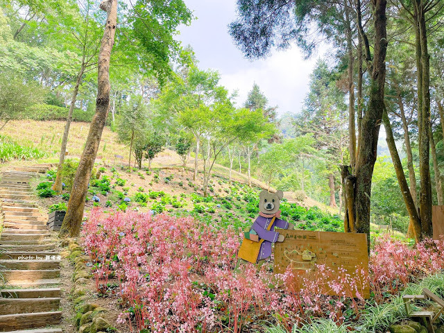 【台中 新社】薰衣草森林，繡球花季開跑，4月中旬到6月底，繡球花搭配旋轉木馬，浪漫至極，晚上還有觀賞螢火蟲行程，一路從早玩到晚！！