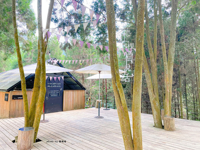 【台中 新社】薰衣草森林，繡球花季開跑，4月中旬到6月底，繡球花搭配旋轉木馬，浪漫至極，晚上還有觀賞螢火蟲行程，一路從早玩到晚！！