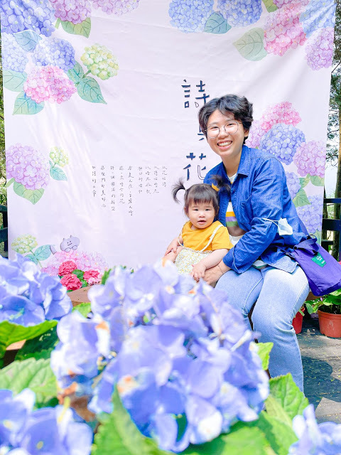 【台中 新社】薰衣草森林，繡球花季開跑，4月中旬到6月底，繡球花搭配旋轉木馬，浪漫至極，晚上還有觀賞螢火蟲行程，一路從早玩到晚！！