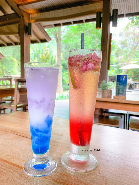 【台中 新社】薰衣草森林，繡球花季開跑，4月中旬到6月底，繡球花搭配旋轉木馬，浪漫至極，晚上還有觀賞螢火蟲行程，一路從早玩到晚！！