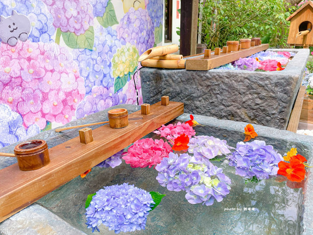 【台中 新社】薰衣草森林，繡球花季開跑，4月中旬到6月底，繡球花搭配旋轉木馬，浪漫至極，晚上還有觀賞螢火蟲行程，一路從早玩到晚！！