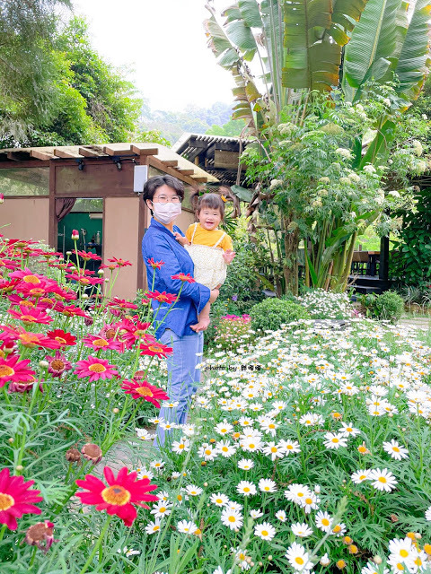【台中 新社】薰衣草森林，繡球花季開跑，4月中旬到6月底，繡球花搭配旋轉木馬，浪漫至極，晚上還有觀賞螢火蟲行程，一路從早玩到晚！！