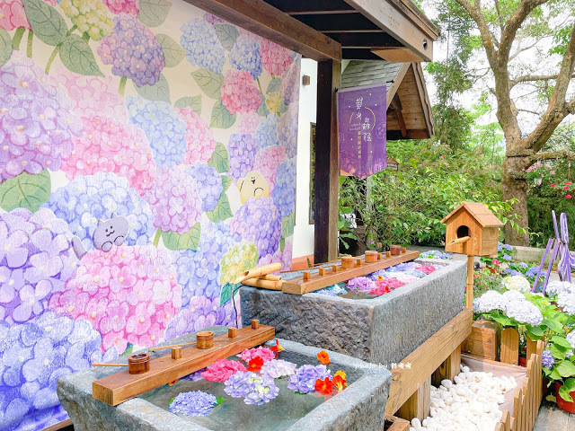 【台中 新社】薰衣草森林，繡球花季開跑，4月中旬到6月底，繡球花搭配旋轉木馬，浪漫至極，晚上還有觀賞螢火蟲行程，一路從早玩到晚！！