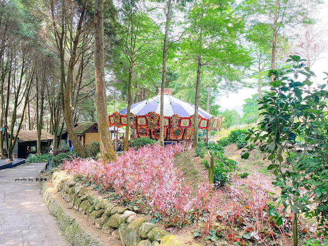 【台中 新社】薰衣草森林，繡球花季開跑，4月中旬到6月底，繡球花搭配旋轉木馬，浪漫至極，晚上還有觀賞螢火蟲行程，一路從早玩到晚！！