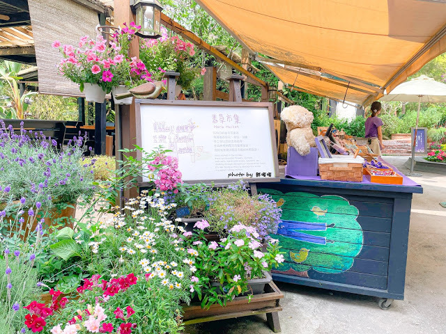 【台中 新社】薰衣草森林，繡球花季開跑，4月中旬到6月底，繡球花搭配旋轉木馬，浪漫至極，晚上還有觀賞螢火蟲行程，一路從早玩到晚！！