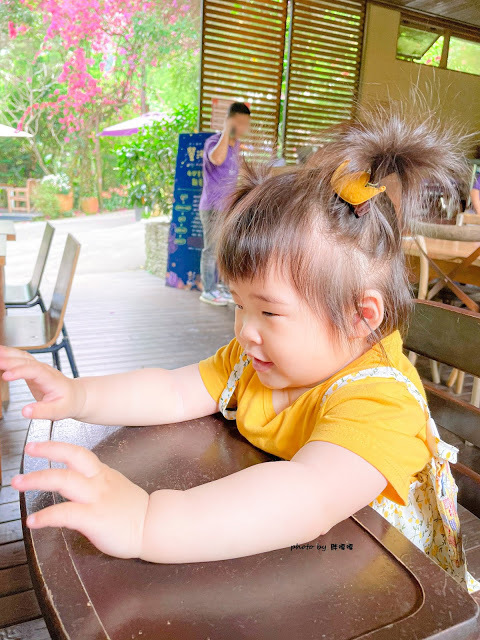 【台中 新社】薰衣草森林，繡球花季開跑，4月中旬到6月底，繡球花搭配旋轉木馬，浪漫至極，晚上還有觀賞螢火蟲行程，一路從早玩到晚！！