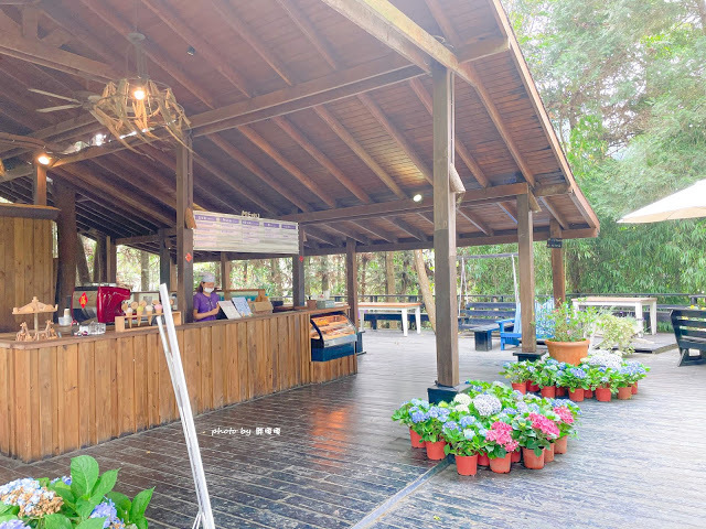 【台中 新社】薰衣草森林，繡球花季開跑，4月中旬到6月底，繡球花搭配旋轉木馬，浪漫至極，晚上還有觀賞螢火蟲行程，一路從早玩到晚！！