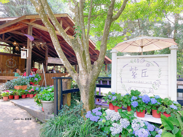 【台中 新社】薰衣草森林，繡球花季開跑，4月中旬到6月底，繡球花搭配旋轉木馬，浪漫至極，晚上還有觀賞螢火蟲行程，一路從早玩到晚！！